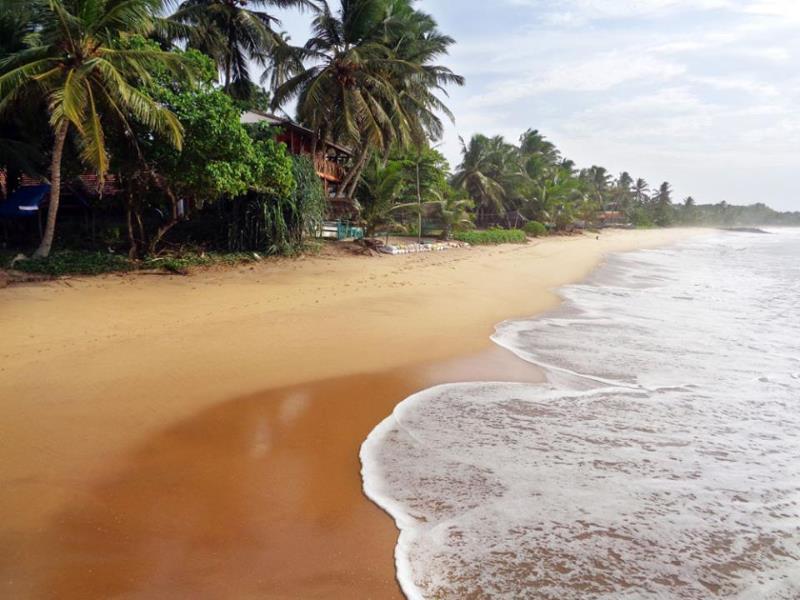 Reggae Zone Beach Resort Tangalle Exteriér fotografie