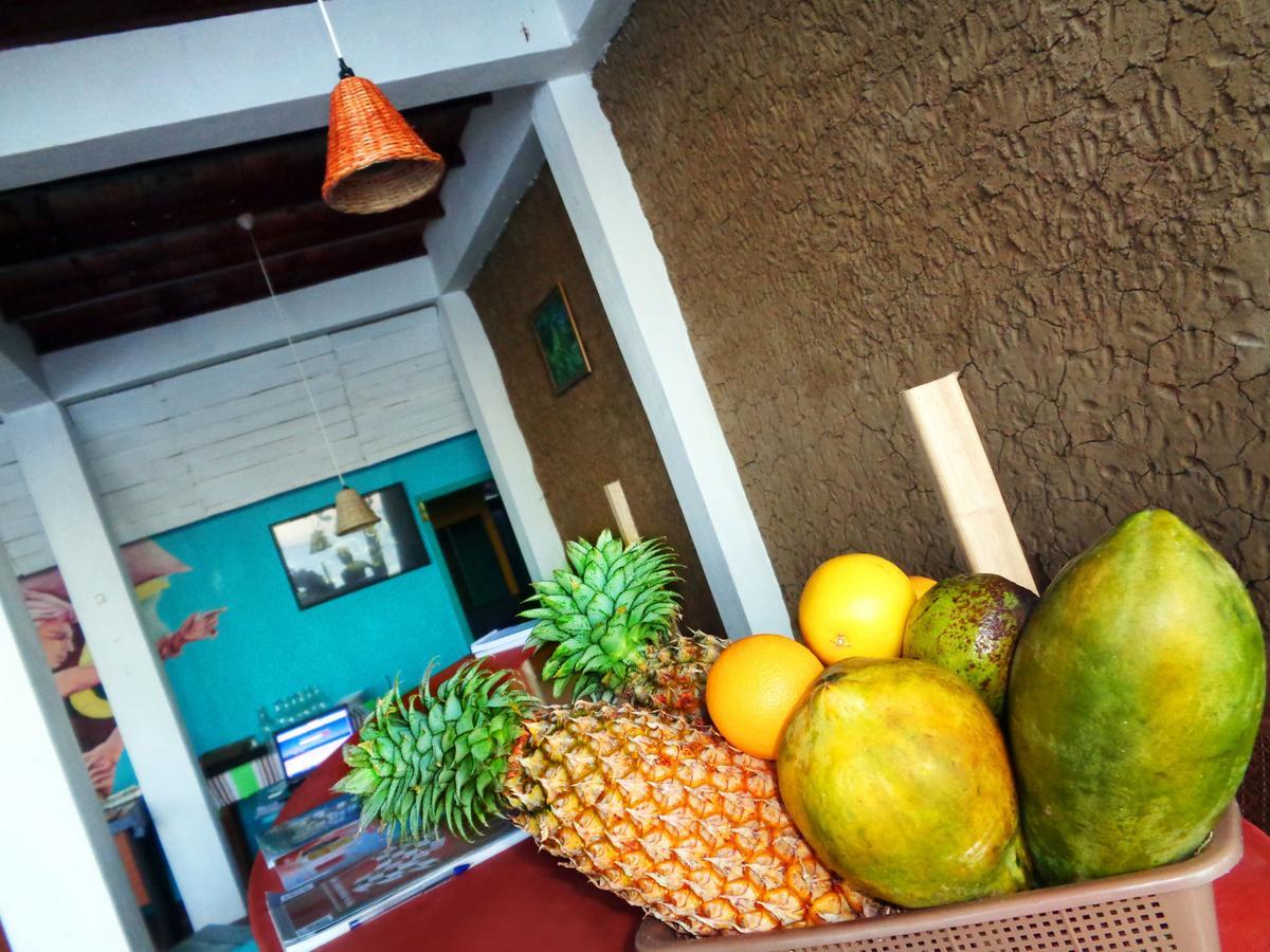 Reggae Zone Beach Resort Tangalle Exteriér fotografie