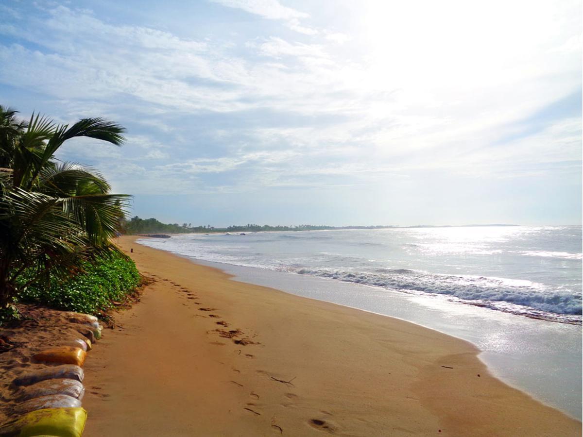 Reggae Zone Beach Resort Tangalle Exteriér fotografie