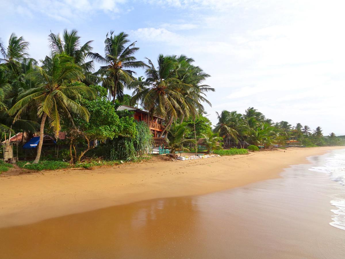 Reggae Zone Beach Resort Tangalle Exteriér fotografie